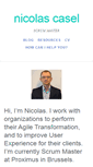 Mobile Screenshot of nicocasel.net